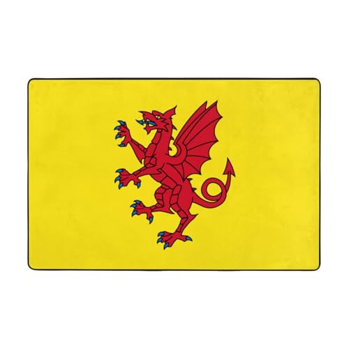Somerset County Flagge Fußmatte Fußmatte rutschfeste Teppiche für den Eingangsbereich – rutschfeste Bodenmatte mit Memory-Schaum-Kissen Somerset County Flagge Fußmatte Fußmatte rutschfeste Teppiche für den Eingangsbereich – rutschfeste Bodenmatte mit Memory-Schaum-Kissen von BOXILTD