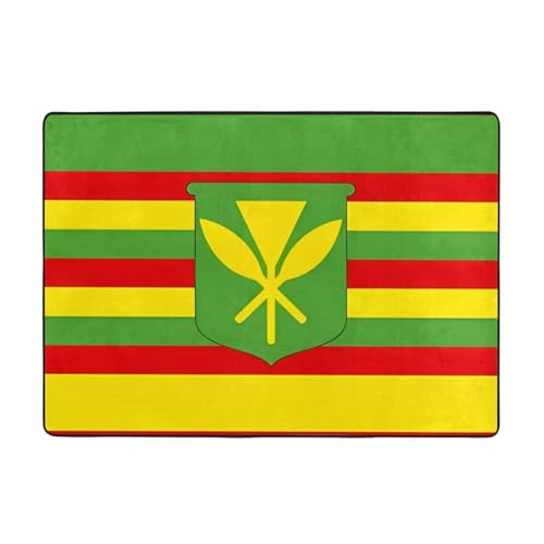 Teppich mit Hawaii-Flagge für Wohnzimmer, Schlafzimmer, weich und bequem, große Teppiche für Badezimmer und Außenbereich Teppich mit Hawaii-Flagge für Wohnzimmer, Schlafzimmer, weich und bequem, große Teppiche für Badezimmer und Außenbereich von BOXILTD