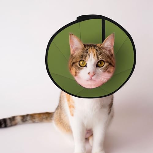 Weiches Hundehalsband, verstellbar, für Katzen, Kätzchen, Kaninchen, bequem, elisabethanisches Halsband von BOXILTD