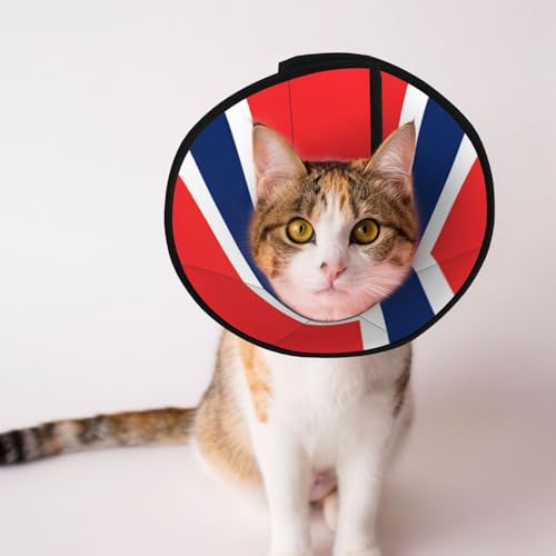 Weiches Hundehalsband mit norwegischer Flagge, Depets verstellbare Genesung, Haustierkegel, E-Halsband für Katzen, Kätzchen, Kaninchen, bequemes elisabethanisches Halsband Weiches Hundehalsband mit norwegischer Flagge, Depets verstellbare Genesung, Haustierkegel, E-Halsband für Katzen, Kätzchen, Kaninchen, bequemes elisabethanisches Halsband von BOXILTD