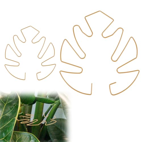 BOXOB 2 Stück Pflanzenstützen für Monstera-Blätter, 2 Größen Haken zur Stützung von Kletterpflanzenstängeln Ideal Pflanzenstütze Monstera für Gedeihendes Pflanzenwachstum (Gold) von BOXOB