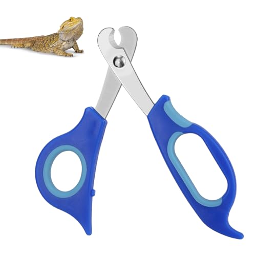 BOXOB Nagelknipser für Bartagamen, Edelstahl Zehennagelknipser Bartagamen Eidechsen Professionelles Reptilien Pflegewerkzeug mit Präzisen Abgewinkelten Kanten für Kleine Reptilien von BOXOB