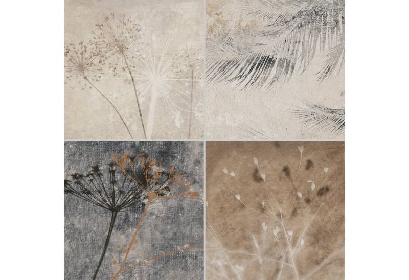 BOXTEC Bodenfliese FLORA NATURE 16.5 x 16.5 Feinsteinzeug Wand- und Bodenfliese, Feinsteinzeug 16.5x16.5, Braun von BOXTEC