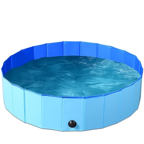BPS BPS-15900 Faltbarer Pool für Haustiere, Hunde, 80 x 20 cm, tragbar, aus robustem PVC, mit Drainage, ideal für Haustiere von BPS BUENA PET SHOP