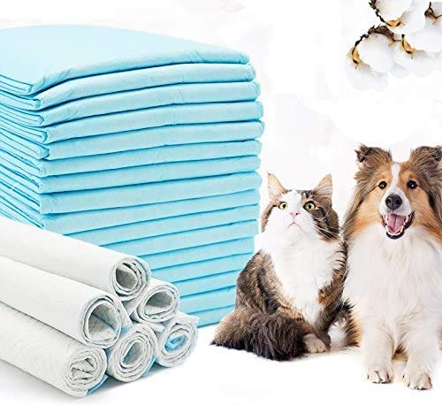 BPS Trainingsunterlagen für Welpen Puppy Pads super saugfähig Saugstarke Welpenunterlage Pads Für Hundeerziehung Welpenerziehung (40pcs 33 * 45 cm) BPS-2189 von BPS BUENA PET SHOP