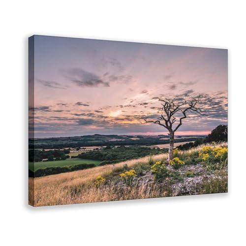 BQUWR Poster auf Leinwand, Motiv: Old Winchester Mountain Sunset, Schlafzimmer, Dekoration, Landschaftsdekoration, Geschenk, 60 x 90 cm BQUWR Poster auf Leinwand, Motiv: Old Winchester Mountain Sunset, Schlafzimmer, Dekoration, Landschaftsdekoration, Geschenk, 60 x 90 cm von BQUWR