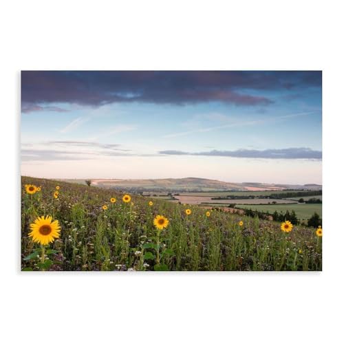 BQUWR Poster mit Sonnenblumenfeld, Landschaft, Leinwand, Poster, Wandkunstdruck, Bild, Gemälde, 20 x 30 cm BQUWR Poster mit Sonnenblumenfeld, Landschaft, Leinwand, Poster, Wandkunstdruck, Bild, Gemälde, 20 x 30 cm von BQUWR
