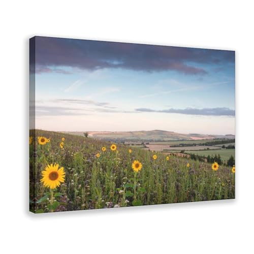 BQUWR Poster mit Sonnenblumenfeld, Landschaft, Leinwand, Poster, Wandkunstdruck, Bild, Gemälde, 40 x 60 cm BQUWR Poster mit Sonnenblumenfeld, Landschaft, Leinwand, Poster, Wandkunstdruck, Bild, Gemälde, 40 x 60 cm von BQUWR
