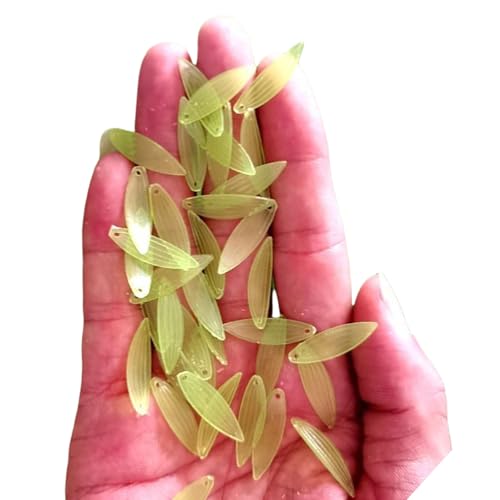 50 Stück Tulpen Perlen Blumen Perlen Farbdruck Blütenknospen für Armbänder Halsketten Schmuck Nachtlicht Herstellung von BRABOSTON