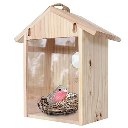 Vogelhaus aus Holz für Außenfenster, Vogel-Nistkasten, durchsichtiges Vogelhaus mit starken Saugnäpfen, für blaue Vögel, Fenster-Futterspender mit starken Saugnäpfen, Kolibri von BRABOSTON