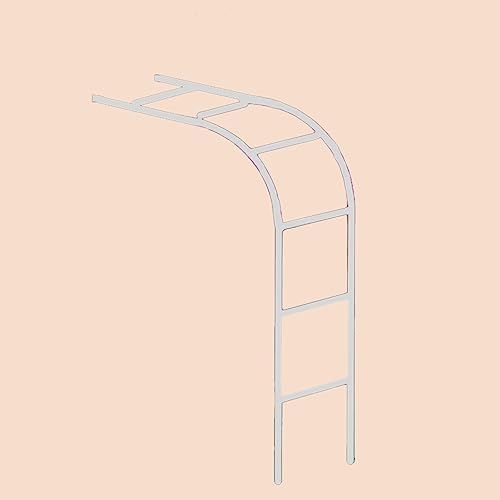 Gartenbogen aus Metall, gegen die Wand Rosenbogen, halbe Seite Edelstahl torbogen, Terrassen Kletterreben unterstützen Pergola, Außenterrassengitter garten torbogen dekorative ( Color : Side tube 19mm von BRANII
