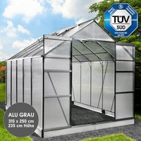 Gewächshaus Aluminium mit Fundament rostfrei tüv geprüft 6mm Platten 310x250x235cm Grau - Brast Gewächshaus Aluminium mit Fundament rostfrei tüv geprüft 6mm Platten 310x250x235cm Grau - Brast von BRAST