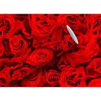 Geschenkpapier Kollektion Rot Roses 2 m x 70 cm Geschenkverpackungen - Braun&company von BRAUN & COMPANY