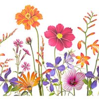 Servietten Blumen und Blätter bunt 33 x 33 cm 20 Stück Servietten Blumen und Blätter bunt 33 x 33 cm 20 Stück von BRAUN & COMPANY