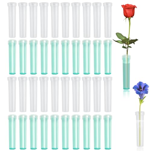BRDXOOL 40 Stück Blumendeko-Röhrchen transparent mit Deckel Blumenwasserrohre Kunststoff Rosenwasserflasche Blumenpicks für Blumenarrangement-Dekoration, wiederverwendbar (Zwei Farben) von BRDXOOL