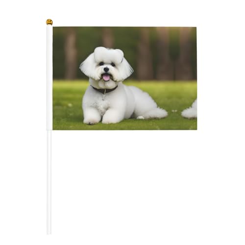 Niedliche Bichon-Frisé-Flagge, doppelseitig, schwenkbar, lebendige Farben, für Sportturniere und Spiele von BREAUX