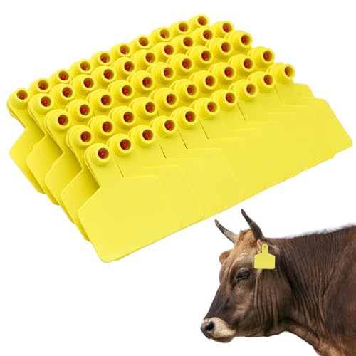 BREUAILY 100PCS Blanko-Ohrmarken für Kuh TPU Rinder Ohrmarken Tier Identifikationskarte für Schafe Ziegen Kühe Rinder Kalb Schweine Farm von BREUAILY