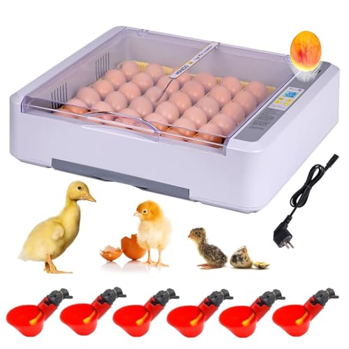 BREUAILY Brutautomat Vollautomatisch 36 Eier Brutkasten Hühner Inkubator Hühner mit Automatischem Wenden der Eier LED Eierleuchte Anzeige der Anzahl der Aufzuchttage Temperatur und Luftfeuchtigkeit von BREUAILY