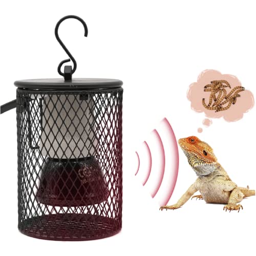 BREUAILY Reptilien Wärmelampe mit Schutzkorb E27 Wärmelampe Keramik Terrarium Reptilien Heizlampe für Amphibien Reptilien Tiere Lizard Turtle Snake Chamäleon Vögel Hühner (EU Plug) (75W) von BREUAILY