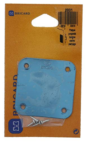 BRICARD 2001 Platte einäugig Cache Bohren BRICARD 2001 Platte einäugig Cache Bohren von Bricard