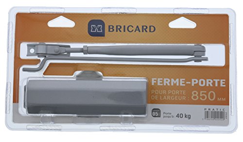 BRICARD 2052 Ferme Porte Hydraulische Force 2 silber von Bricard