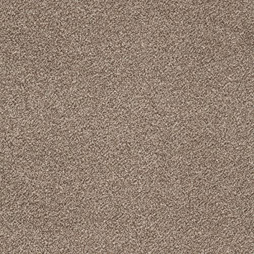 Auslegware in Braun Teppichboden Meterware in 4 und 5 Meter Breite Kräuselvelours Teppich ideal für Wohnzimmer und Schlafzimmer (5 m x 4.5 m) von BRICOFLOR