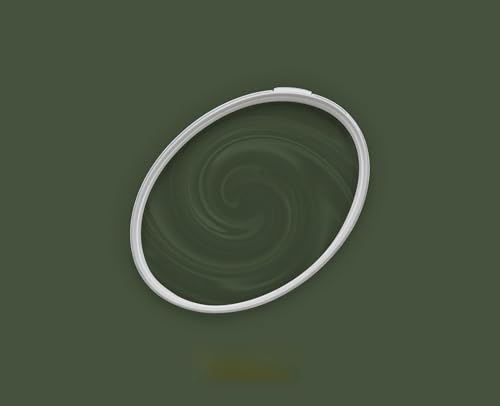 BRICOFLOR Dunkelgrüne Wandfarbe matt für Wohnzimmer und Schlafzimmer Innen Farbe seidenmatt in 2,5 und 5 l sehr gut deckend von BRICOFLOR