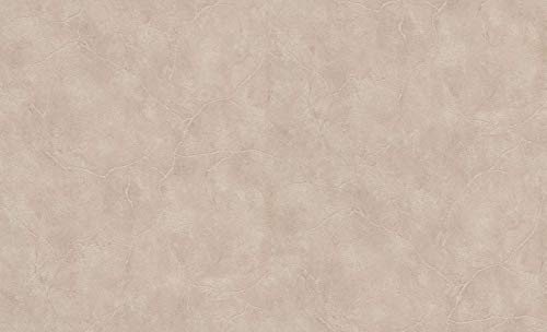 BRICOFLOR Uni Tapete in Betonoptik beige | Schlichte Vliestapete mit Beton Muster in Naturfarben | Vlies Betontapete ideal für Küche und Wohnzimmer von Erismann