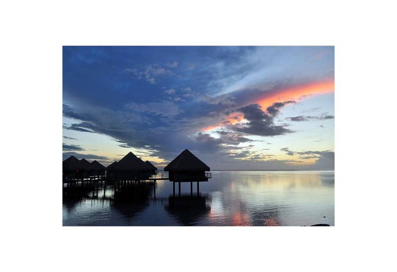 BRICOFLOR Vinyltapete, Holzstruktur, (1 St), Photomural von BRICOFLOR