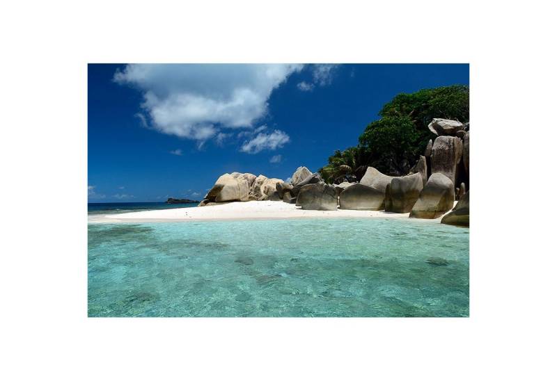 BRICOFLOR Vinyltapete, Holzstruktur, (1 St), Photomural von BRICOFLOR