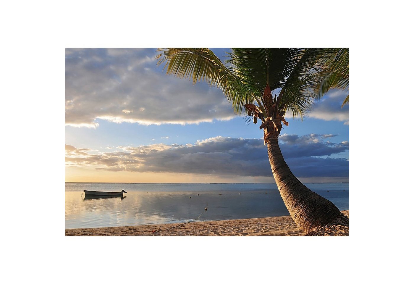 BRICOFLOR Vinyltapete, Holzstruktur, (1 St), Photomural von BRICOFLOR