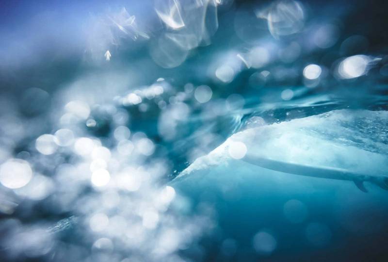 BRICOFLOR Vinyltapete, Holzstruktur, (1 St), Photomural von BRICOFLOR