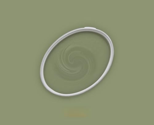 BRICOFLOR Wandfarbe olivgrün für innen in 2,5 und 5 l ideal für Wohnzimmer und Schlafzimmer Moderne Farbe mit Deckkraftklasse 1 von BRICOFLOR