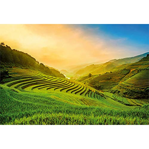 Designwalls 2.0 | Terraced Rice Field In Vietnam DD118897 | Landschaft Tapete für Küche Küche | Vlies Tapete Grün Gelb - 3,84 m x 2,6 m von BRICOFLOR