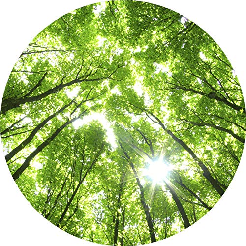 Fototapete Baumkronen im Himmel | Grüne Wandtapete rund mit Wald Motiv in Sonne | Vlies Bildtapete mit Bäumen ideal für Büro und Schlafzimmer Fototapete Baumkronen im Himmel | Grüne Wandtapete rund mit Wald Motiv in Sonne | Vlies Bildtapete mit Bäumen ideal für Büro und Schlafzimmer von BRICOFLOR