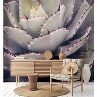 Fototapete | Cactus Plant Florale Tapete Kaktuspflanze Pflanzen Kaktus Schlafzimmer-, Wohnzimmer-, Flurtapete 3, 50 M X 2, 55 von BRICOFLOR