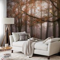 Fototapete | Foggy Autumn Forest Waldtapete Braun Orange Tapete Mit Bäumen Natur Wohnzimmertapete Schlafzimmertapete von BRICOFLOR