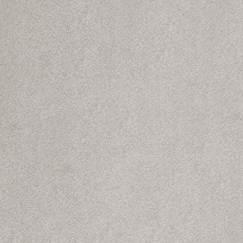 Teppichboden grau | Kräuselvelours Teppich Meterware hellgrau in 400 cm und 500 cm Breite | Ideal für Wohnzimmer und Schlafzimmer (4 m x 4 m) von BRICOFLOR