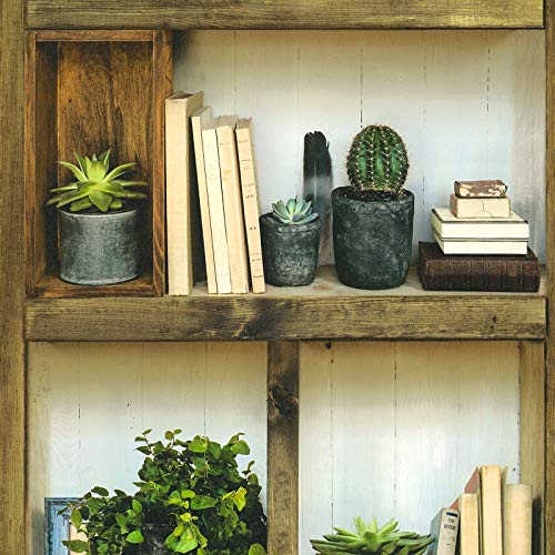 Vintage Tapete mit Bücherregal in Braun und Grün | Kaktus Tapete im Shabby Chic | Ausgefallene 3D Vliestapete ideal für Wohnzimmer und Küche von BRICOFLOR
