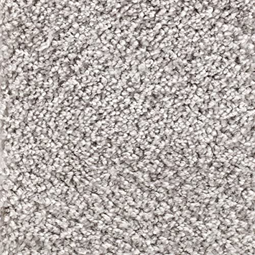 Weißer Teppichboden weich Velours Teppich Meterware 5m breit und 4m breit Auslegware ideal für Schlafzimmer (5 m x 2,5 m) von BRICOFLOR