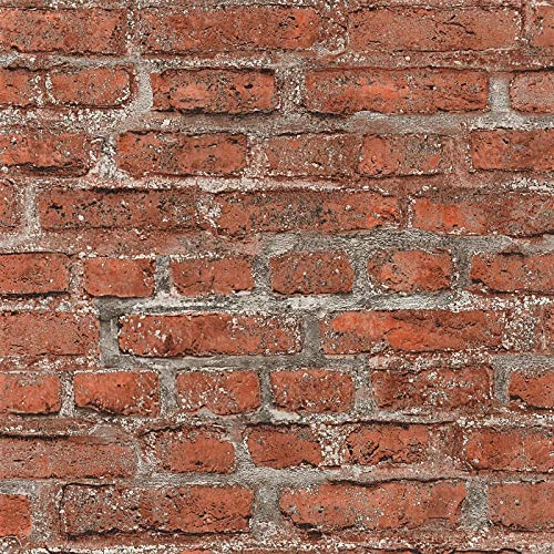 BRICOFLOR Ziegelstein Tapete 3D - Rot, Ideal für Wohnzimmer und Küche - Industrial Tapete in Backsteinoptik - Klinkertapete als Vliestapete BRICOFLOR Ziegelstein Tapete 3D - Rot, Ideal für Wohnzimmer und Küche - Industrial Tapete in Backsteinoptik - Klinkertapete als Vliestapete von BRICOFLOR