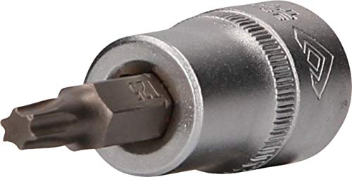 BRILLIANT TOOLS BT021942 3/8" Torx-Bit-Stecknuss, T25 [Powered by KS TOOLS] von BRILLIANT TOOLS