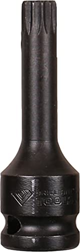 BRILLIANT TOOLS BT022616 1/2" Kraft-Bit-Stecknuss XZN M12 [Powered by KS TOOLS] von BRILLIANT TOOLS