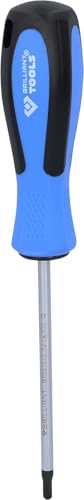 BRILLIANT TOOLS BT031013 Schraubendreher TORX, T20 x 100 mm [Powered by KS TOOLS] von BRILLIANT TOOLS