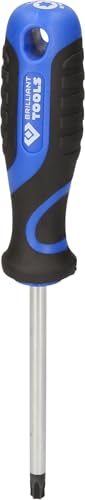 BRILLIANT TOOLS BT034911 Schraubendreher TORX, T40 [Powered by KS TOOLS] von BRILLIANT TOOLS