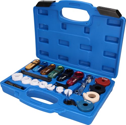 BRILLIANT TOOLS BT531050 Leitungs-Entriegelungs-Werkzeug-Satz, 22-tlg [Powered by KS TOOLS] von BRILLIANT TOOLS