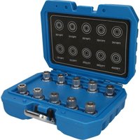 BRILLIANT TOOLS Felgenschloss-Sortiment für BMW 10tlg. - BT691290 von BRILLIANT TOOLS