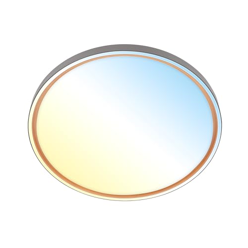 BRILONER - LED Deckenlampe mit Fernbedienung, dimmbar, CCT warmweiß bis kaltweiß, LED Lampe, Deckenleuchte, Wohnzimmerlampe, Küchenlampe, Deckenbeleuchtung, Flurlampe, 49x6,5 cm, Anthrazit BRILONER - LED Deckenlampe mit Fernbedienung, dimmbar, CCT warmweiß bis kaltweiß, LED Lampe, Deckenleuchte, Wohnzimmerlampe, Küchenlampe, Deckenbeleuchtung, Flurlampe, 49x6,5 cm, Anthrazit von BRILONER