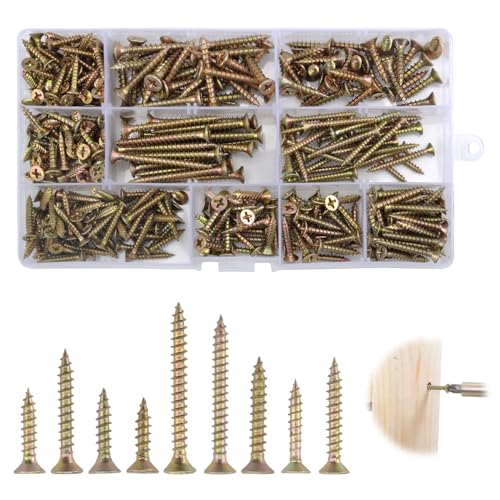 BRISKORE Schrauben Set, 360 PCS Holzschrauben Set, Selbstschneidende Schrauben Holz mit Senkkopf, Schraubenset Holzschrauben Sortiment, Schraubensortiment mit Aufbewahrungsbox für DIY, Reparatur von BRISKORE