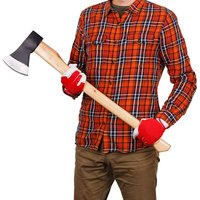 Akzeptiert Scheibe des Schlitzsplitters für Holz mit einem hölzernen Griff von 1,6 kg Brixo von BRIXO